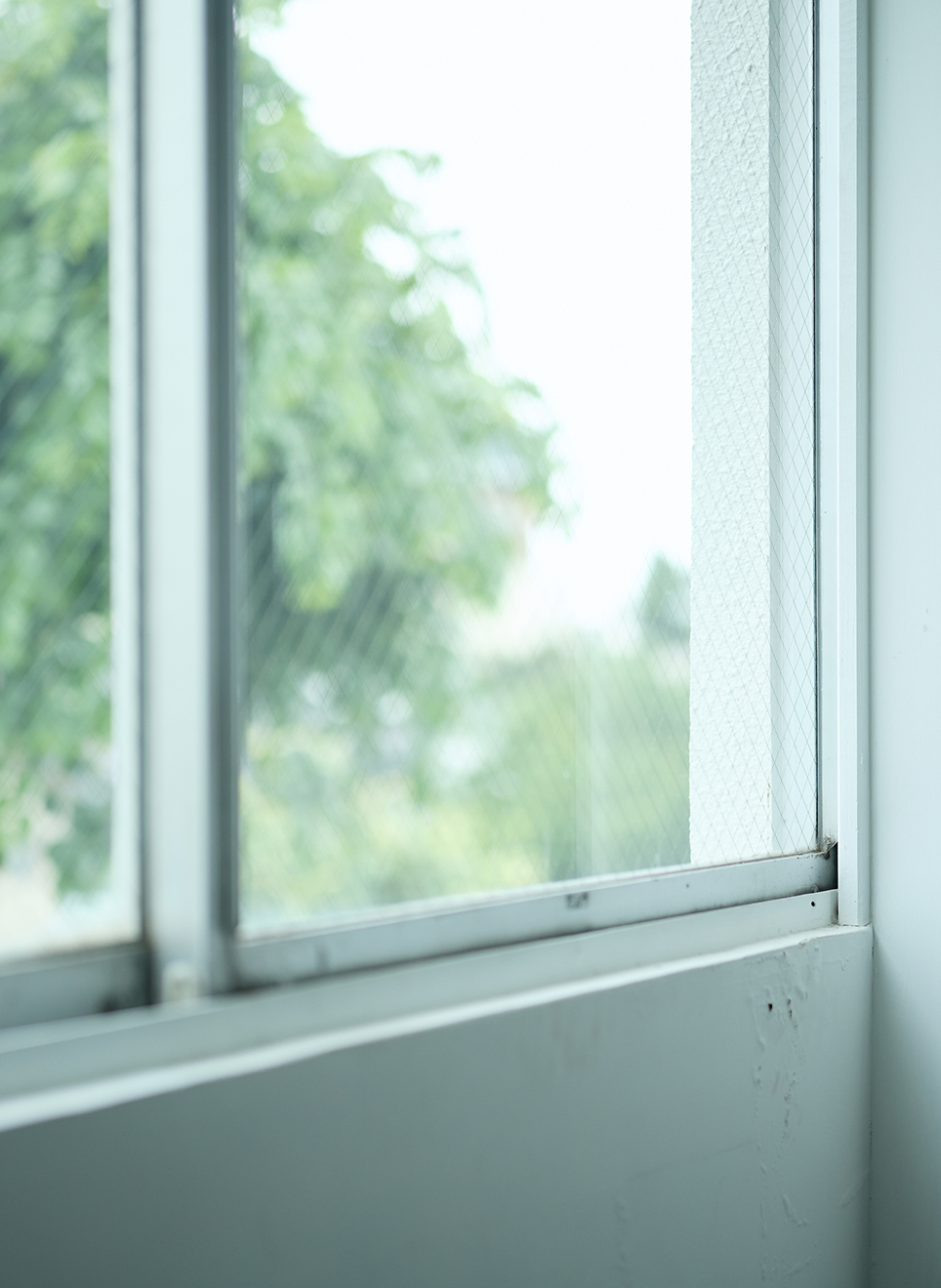 窓